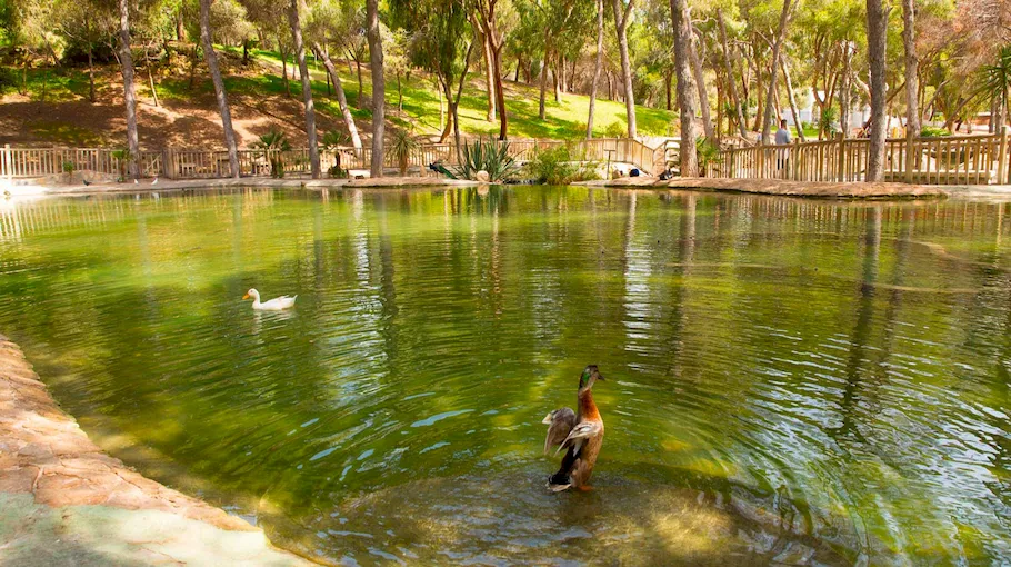 Parcul Reina Sofía din Guardamar del Segura